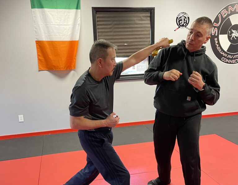 Read more about the article Is Krav Maga The Best Self-Defense System?